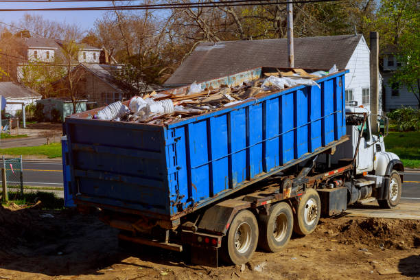 Yard Cleanup Services in Shelbyville, KY