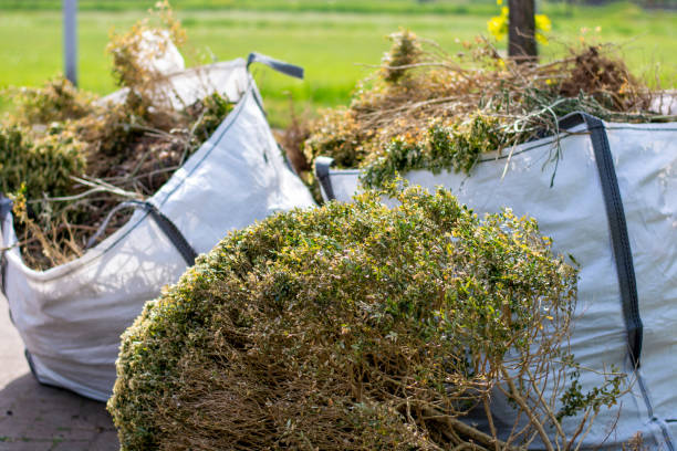 Best Local Junk Hauling  in Shelbyville, KY